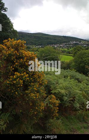 Vista di Doreen da Caer Drewyn Hillfort, Galles Foto Stock