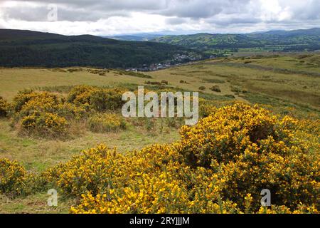 Vista di Doreen da Caer Drewyn Hillfort, Galles Foto Stock