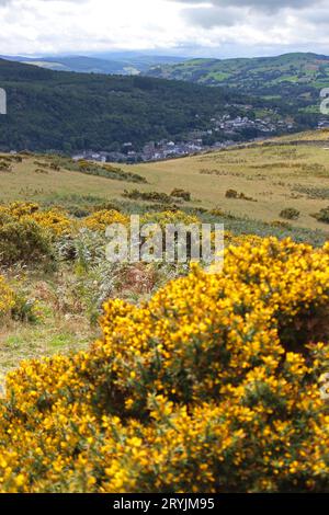 Vista di Doreen da Caer Drewyn Hillfort, Galles Foto Stock