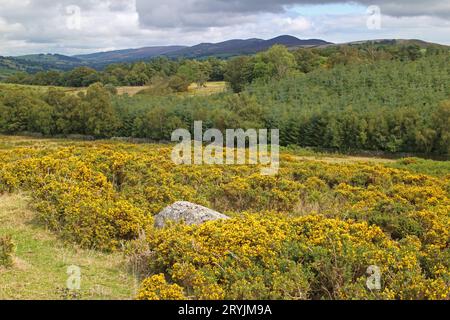 Vista da Caer Drewyn Hillfort Corwen della catena montuosa di Berwyn Foto Stock