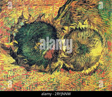 Il famoso dipinto di Vincent van Gogh Two Cut Sunflowers (1887). Foto Stock