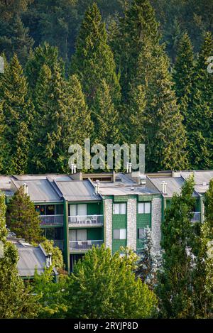 In cima a un basso edificio residenziale su sfondo di alberi verdi Foto Stock