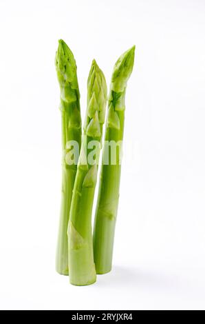 Tre lance verdi di asparagi come elemento di design su una lavagna bianca con spazio per la copia Foto Stock