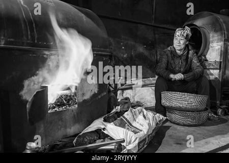 Una donna di campagna in un forno a Sapa in Vietnam Foto Stock