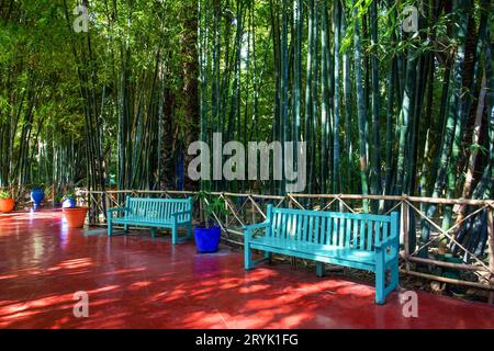 Vegetazione di alti alberi di bambù (e spessa ombra da loro), colore terrakota dei sentieri e panchine verde chiaro luminoso nel giardino Majorelle a ma Foto Stock