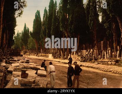 Cipressi e strada che conduce al cimitero, Scutari, Costantinopoli, Turchia, ca. 1895 Costantinopoli. Stampa Photochrom di Photoglob Zürich, tra il 1890 e il 1900. Foto Stock