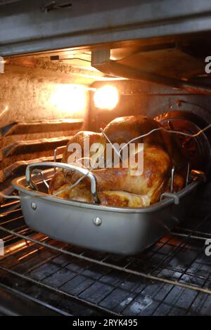 Tacchino Golden Roast in forno con illuminazione del forno Foto Stock