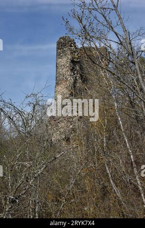 Castello Ruin Kamegg, Austria Foto Stock