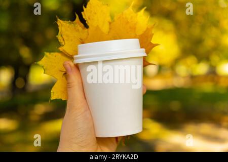 Donna in possesso di una tazza di carta bianca Eco zero Waste, spazio di copia, autunno, foglie autunnali di giallo acero. Tazza di tè e caffè da portare via. Hot tak Foto Stock