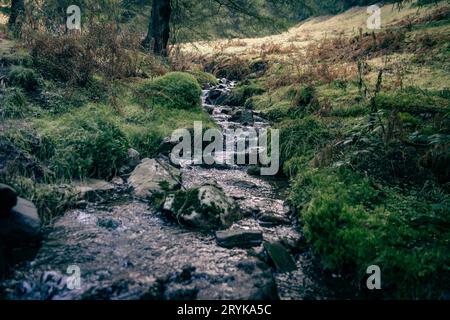 Wanderung Werraquelle 19122020 - Wanderung zur Werraquelle bei Fehrenbach im Thüringer Wald im Dezember 2020. Fehrenbach Werraquelle Thüringen Deutschland *** escursione Werraquelle 19122020 escursione alla sorgente del Werra vicino a Fehrenbach nella foresta della Turingia nel dicembre 2020 Fehrenbach Werraquelle Turingia Germania 191220 ppb klein-4 Credit: Imago/Alamy Live News Foto Stock