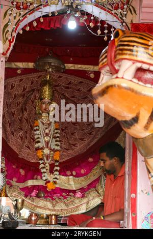 Jodhpur, Rajasthan, India - 12 gennaio 2017: Monaco indiano in abito arancione che prega di fronte all'idolo nel tempio Maa Jwalamukhi devi Foto Stock