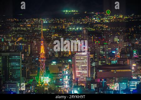 Vista notturna di Nagoya (da Sky Promenade) Foto Stock