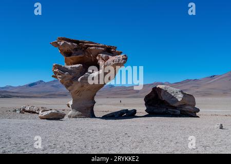 Albero di pietra nell'altiplano boliviano. Foto di alta qualità Foto Stock