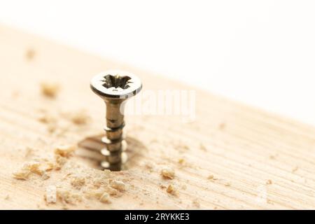 Vite filettata parzialmente avvitata su legno. Copia spazio Foto Stock