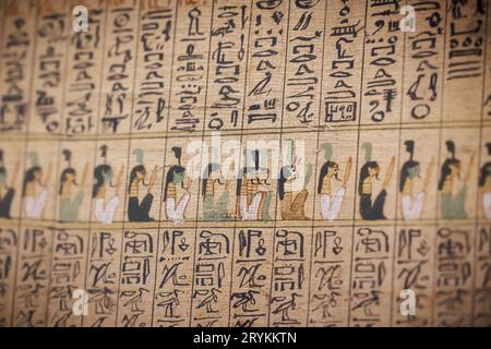 Antichi geroglifi egiziani sul papiro - il Cairo Foto Stock