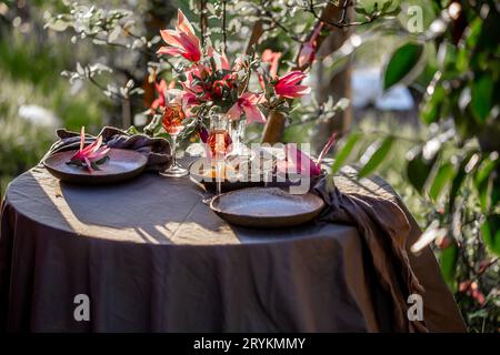 Bella tabella impostazione nel giardino sulla luce del tramonto. Tabella decorate con fiori di magnolia sotto albero di magnolia. Foto Stock