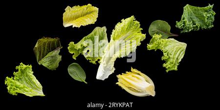 Foglie di insalata cadenti isolate su sfondo nero Foto Stock