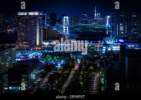 Vista notturna di Tokyo vista da Odaiba, Tokyo Foto Stock