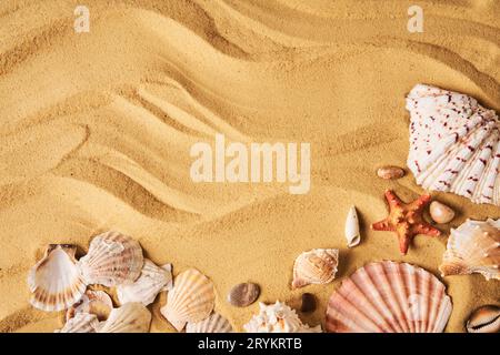 Conchiglie sorprendenti sullo sfondo sabbioso della spiaggia di mare con spazio per la copia del testo. Estate, vacanze al mare, concetto di viaggio Foto Stock
