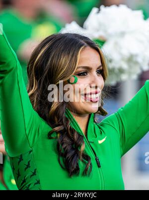 Settembre 30 2023 Palo alto, CA USA, cheerleader degli Oregon Ducks durante la partita di football NCAA tra gli Oregon Ducks e gli Stanford Cardinal.Oregon batte lo Stanford 42-6 allo Stanford Stadium Palo alto, CA Thurman James/CSM Foto Stock