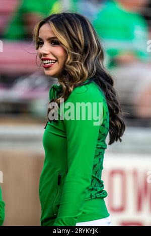 Settembre 30 2023 Palo alto, CA USA, cheerleader degli Oregon Ducks durante la partita di football NCAA tra gli Oregon Ducks e gli Stanford Cardinal.Oregon batte lo Stanford 42-6 allo Stanford Stadium Palo alto, CA Thurman James/CSM Foto Stock