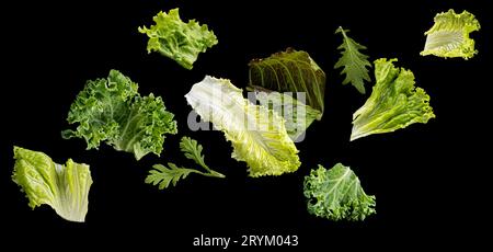 Foglie di insalata cadenti isolate su sfondo nero Foto Stock