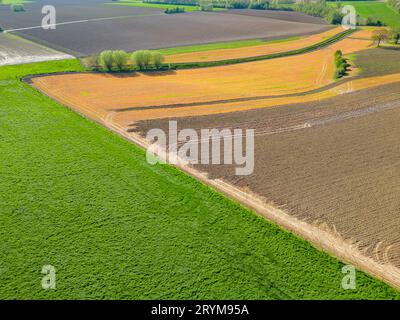 Fantastiche fotografie aeree colorate del verde campo ondulato nelle giornate di sole. Ripresa con drone vista dall'alto. Superficie agricola del Belgio, Europ Foto Stock