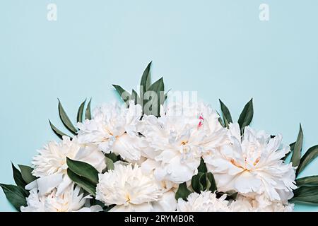 Bouquet di bellissime peonie bianche su sfondo blu Foto Stock