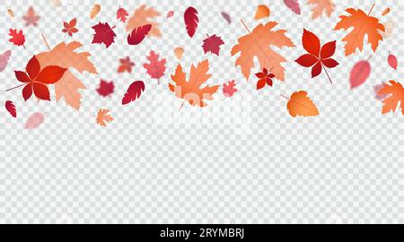 Fogliame autunnale luminoso isolato su sfondo trasparente. Illustrazione Vettoriale