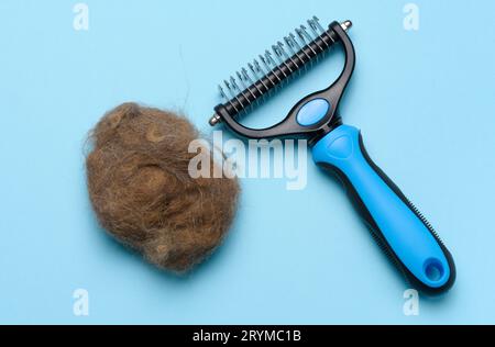 Tagliabasette e ciuffo di lana grigia su sfondo blu, vista dall'alto. Elemento per la cura del corpo Foto Stock