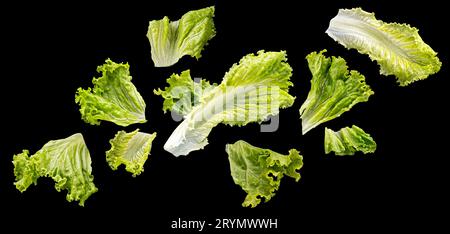 Foglie di insalata cadenti isolate su sfondo nero Foto Stock