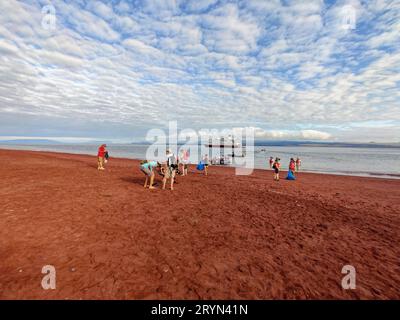 Fai una crociera turistica sulla spiaggia, sul gommone Zodiac e sulla nave da crociera Hurtigruten Santa Cruz II al largo dell'isola di Rabida, delle isole Galapagos, dell'Ecuador Foto Stock