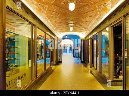 Vista interna di Specks Hof, passaggio a volta con botte e soffitto in rame goffrato, Lipsia, Germania Foto Stock