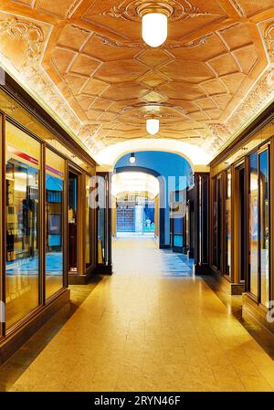 Vista interna di Specks Hof, passaggio a volta con botte e soffitto in rame goffrato, Lipsia, Germania Foto Stock