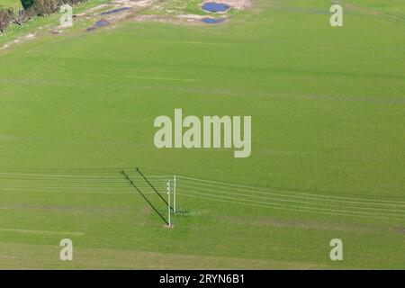 La vista aerea rivela le linee elettriche che attraversano il vivace paesaggio verde. Foto Stock