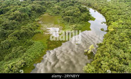 Vista di Ariel su un tipico fiume Pantanal con prato, laguna e fitta foresta nella luce del tardo pomeriggio, Foto Stock