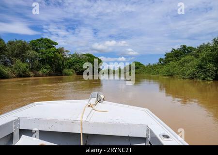 Vista di un tipico fiume Pantanal da una barca in una giornata di sole con riflessi della vegetazione Foto Stock