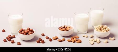 Diversi tipi di latte vegano non diario e ingredienti. Concetto di assistenza sanitaria e dieta. Formato banner Foto Stock