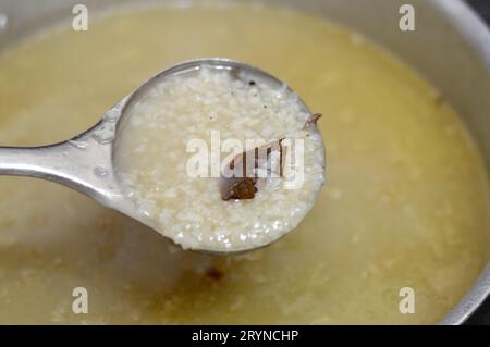 Zuppa di riso piccione o Shorbet hamam, zuppa egiziana preparata bollendo i piccioni fino a cottura avvenuta, con riso, cardamomo, alloro, lime, e spezie, anche con Foto Stock