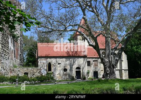 Caste Ruin Pottendorf, Austria Foto Stock