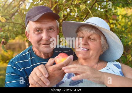 Gli anziani sorridono e raccolgono mele. Felice vecchia coppia. Dai semi ai frutti. Foto Stock