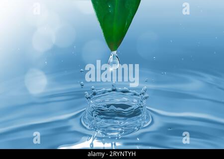 Una goccia d'acqua che cade da foglie verdi in un corpo d'acqua tranquillo, creando increspature e schizzi Foto Stock