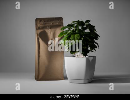 Mockup di confezioni di caffè in carta kraft. Un modello di sacchetto accanto a un albero di arabica in vaso. Confezione vuota con zip per design, stampa, motivo, branding. Foto Stock