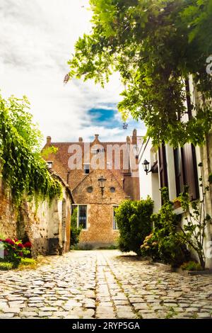 Strada di ciottoli vuota o vicolo nel Groot Begijnhof, il grande beghinaggio della città medievale di Malines, Fiandre, Antw Foto Stock