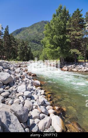 Ruscello con acqua limpida e turchese nelle montagne Altai. Paesaggio estivo. Foto Stock