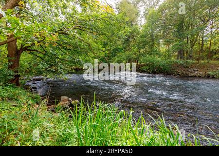 Spree bei Cottbus DEU/Deutschland/Brandneburg/Cottbus, 01.10.2023, Flusslauf der Spree bei Kiekebusch Cottbus in der brandenburgischen Lausitz. *** Sprea vicino a Cottbus DEU Germania Brandneburg Cottbus, 01 10 2023, corso fluviale della Sprea vicino a Kiekebusch Cottbus nella regione Brandeburgo Lausitz AF Spree Cottbus 81927.jpeg crediti: Imago/Alamy Live News Foto Stock