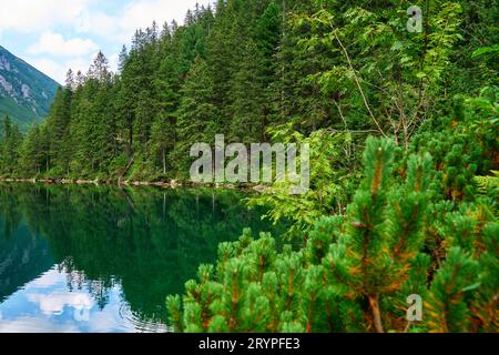 Foresta di abeti rossi vicino al lago blu in montagna. Parco nazionale di Tatra in Polonia. Vista panoramica su Morskie Oko o sul lago Sea Eye nella valle di cinque laghi. Natura l Foto Stock