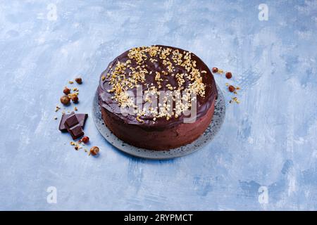 Tradizionale torta alla vaniglia con glassa di cioccolato e nocciole tritate, servita come vista dall'alto su un piatto Nordic Design con testo spac Foto Stock