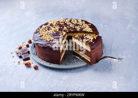 Tradizionale torta alla vaniglia con glassa di cioccolato alle nocciole tritate servita come primo piano su un piatto dal design nordico con spatola di testo Foto Stock