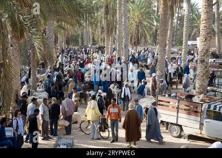 Mercato settimanale degli animali a Douz, Tunisia Foto Stock